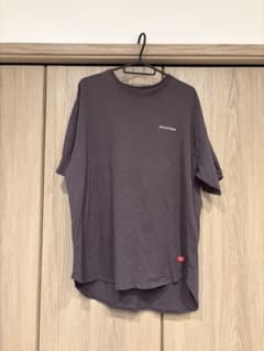 Dickies 티셔츠 차콜 그레이 F사이즈