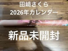 皆藤愛子 直筆サイン入り 2026年カレンダー | Shop at Mercari from