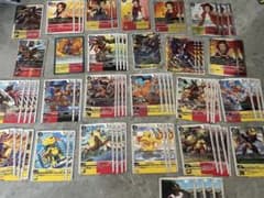 デジモンカード 大門大 アグモン シャイングレイモン デッキ