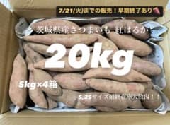 あと3日で終了】【熟成済】訳あり茨城県産さつまいも紅はるか20kg