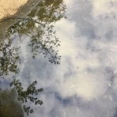 予約済　ウーロ日2のサムネイル