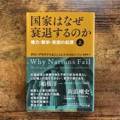国家はなぜ衰退するのか 上 権力・繁栄・貧困の起源のサムネイル