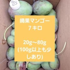 摘果マンゴー3/7 摘果マンゴー7キロ - メルカリ