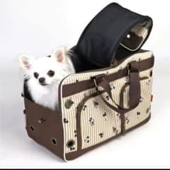 mayu様専用　ディズニー 3way キャリーバッグのサムネイル