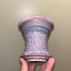 M SIZE 植木鉢 作家鉢 アガベ グラキリス ホリダ チタノタ 白鯨 姫巌竜 S SIZE 植木鉢 作家鉢 アガベ グラキリス ホリダ チタノタ 白鯨 姫巌竜