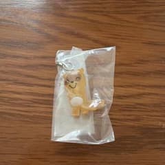 ノンタン　めじるしアクセサリー　たぬきさんのサムネイル