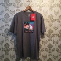 ノースフェイス ハワイ Tシャツのサムネイル