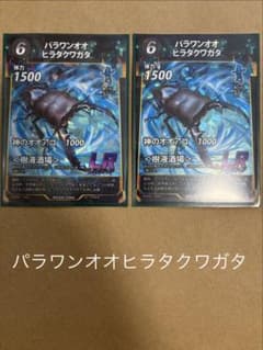 【虫神器】パラワンオオヒラタクワガタ 2枚セットのサムネイル
