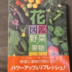 花図鑑 野菜+果物のサムネイル