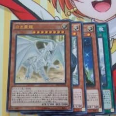 シンヤ様専用白き霊龍のサムネイル