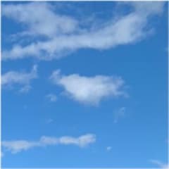 まなみ様専用のサムネイル