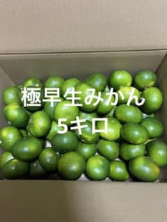 極早生みかん 5キロのサムネイル