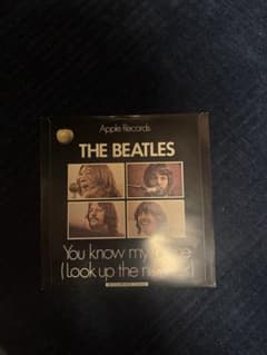 THE BEATLES You know my name レコードのサムネイル