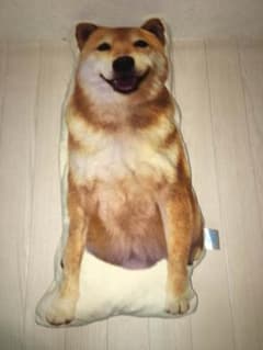 柴犬ぬいぐるみのサムネイル