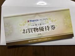 ヤマダ電機　ヤマダホールディングス　株主優待のサムネイル
