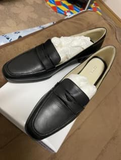 REGAL camelotのサムネイル