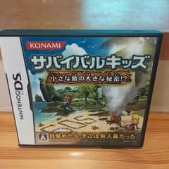 DSソフトのサムネイル
