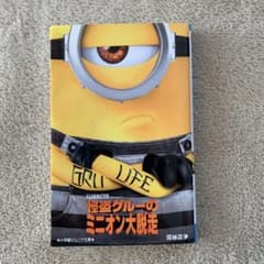 괴도 그루의 미니언 대 탈주