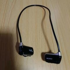 プレイヤー内蔵イヤホンのサムネイル