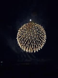 専用です。のサムネイル