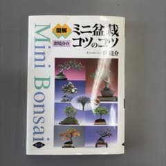 図解群境介のミニ盆栽コツのコツのサムネイル
