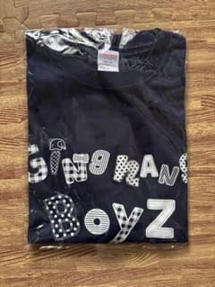 銀杏BOYZ Tシャツ tee logo ロゴ ネイビー S ケイスケカンダ 銀杏BOYZ Tシャツ tee logo ロゴ ネイビー L ケイスケカンダ - メルカリ