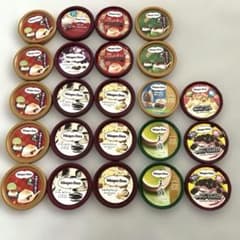 ハーゲンダッツ蓋 23枚 - メルカリ