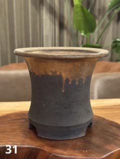 陶器鉢 植木鉢 塊根植物 コーデックスのサムネイル