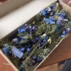 未使用　横浜ディスプレイミュージアム　フェイクアーティフィシャル　造花　1ダース