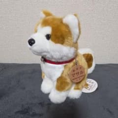 秋田犬 マサル ぬいぐるみのサムネイル