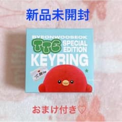 ビョンウソクBWS & TTE KEYRING TTE&BWS ぬいぐるみ BWS ビョンウソク TTE KEYRING マスコット ぬいぐるみ キーリング