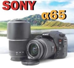 大人気ソニー機種 SONY α65 ダブルレンズセット 付属品豊富 すぐ使える
