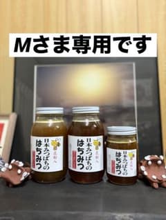 はちみつ　日本蜜蜂のハチミツ　奥山の蜂蜜　花粉入り　２種 ハチミツ 日本蜜蜂の蜂蜜 奥山の奥のはちみつ 花粉入り谷違い巣箱違い