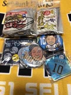 大竹耕太郎 投手 セットのサムネイル