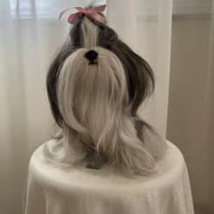 激レア　希少　フォンティーヌ　ドレッシーペット　シーズ 犬　レトロ 激レア フォンテーヌ ドレッシーペット シーズ 犬 - メルカリ
