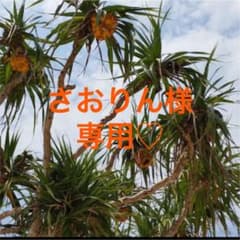 さおりん様専用です！のサムネイル