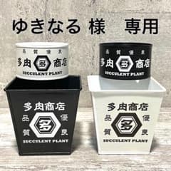 ゆきなる 様 専用 リメイク缶 白黒 4個セット （スクエア角型 他）多肉商店のサムネイル