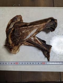 犬用おやつ 【鹿肩甲骨‼️】 2枚のサムネイル