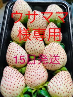 熊本県産いちご ❤️白香モン❤️香り&甘み 苺 イチゴ いちごのサムネイル