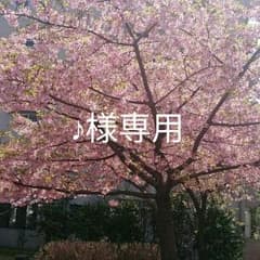 ♪様専用のサムネイル