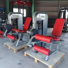 TECHNOGYM レッグエクステンション・カール2台セット（引取り限定） TECHNOGYM レッグエクステンション・カール2台セット（引取り限定