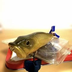 Megabass POP-X トップウォーター ルアー - メルカリ