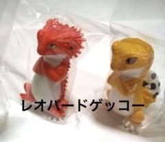 ドン！レオパードゲッコーのサムネイル