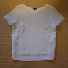 INDIVI 半袖 Tシャツ 白 ホワイト 袖シアーのサムネイル