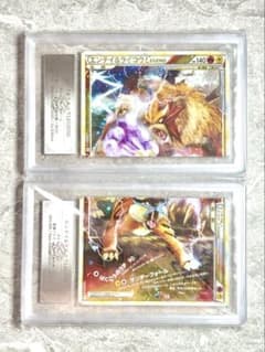 ARS10 + 8 世界に各1枚エンテイ&ライコウ LEGEND - メルカリ