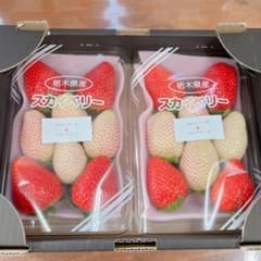 栃木県産 紅白いちご 詰め合わせのサムネイル