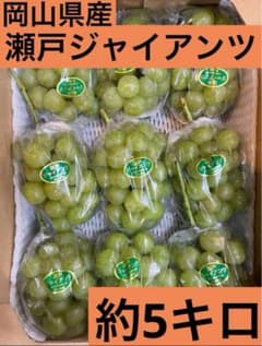 yukaM プロフ必読 水日祝休み の出品した商品 - メルカリ