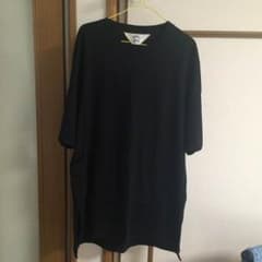 sunsea レイヤードT 16SS 吾亦紅購入のサムネイル