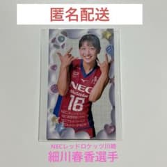 NECレッドロケッツ川崎　細川春香選手　トレーディングカードのサムネイル