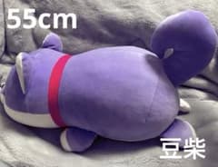 플라워 파크 한정 콩 시바 봉제 장난감 55cm